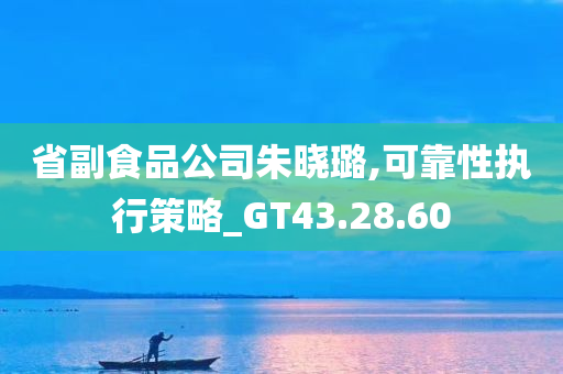 省副食品公司朱晓璐,可靠性执行策略_GT43.28.60