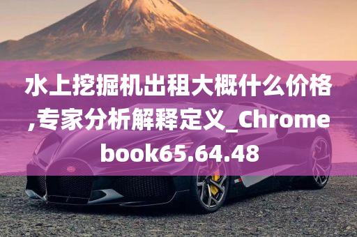 水上挖掘机出租大概什么价格,专家分析解释定义_Chromebook65.64.48