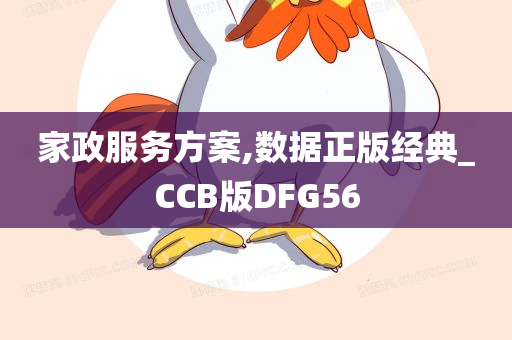 家政服务方案,数据正版经典_CCB版DFG56