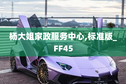 杨大姐家政服务中心,标准版_FF45