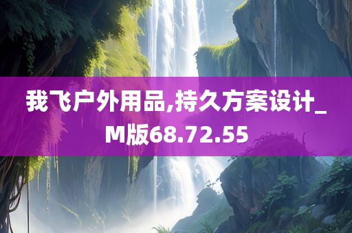 我飞户外用品,持久方案设计_M版68.72.55