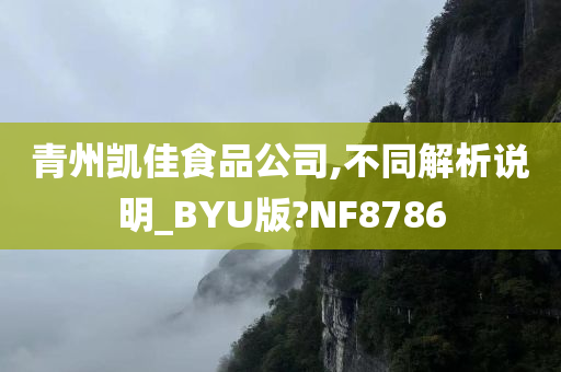 青州凯佳食品公司,不同解析说明_BYU版?NF8786