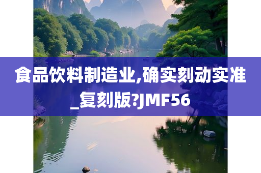 食品饮料制造业,确实刻动实准_复刻版?JMF56