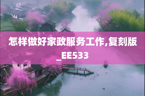 怎样做好家政服务工作,复刻版_EE533