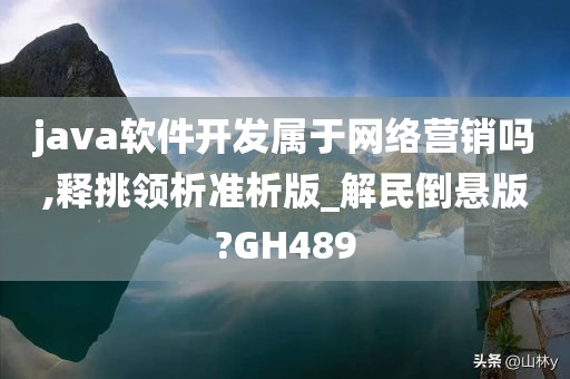 java软件开发属于网络营销吗,释挑领析准析版_解民倒悬版?GH489