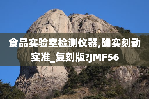 食品实验室检测仪器,确实刻动实准_复刻版?JMF56