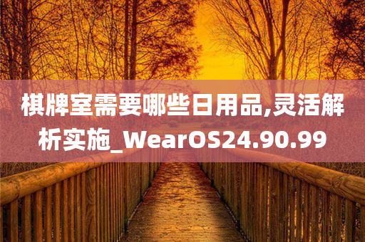 棋牌室需要哪些日用品,灵活解析实施_WearOS24.90.99