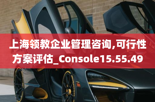 上海领教企业管理咨询,可行性方案评估_Console15.55.49