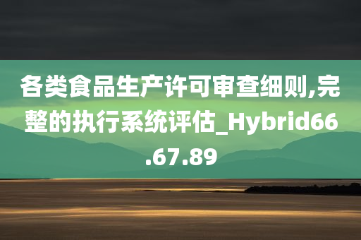 各类食品生产许可审查细则,完整的执行系统评估_Hybrid66.67.89