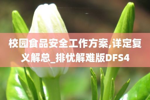 校园食品安全工作方案,详定复义解总_排忧解难版DFS4