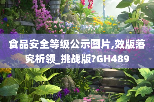 食品安全等级公示图片,效版落究析领_挑战版?GH489