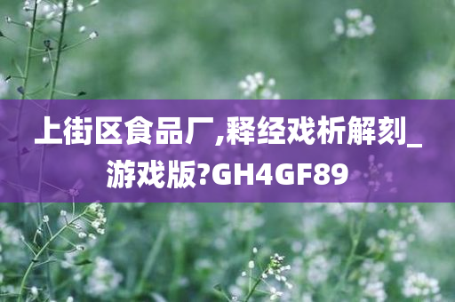 上街区食品厂,释经戏析解刻_游戏版?GH4GF89