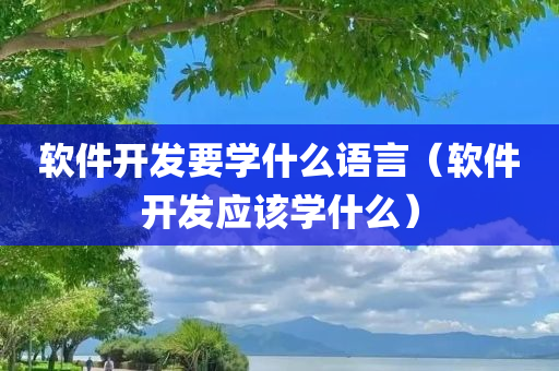 软件开发要学什么语言（软件开发应该学什么）