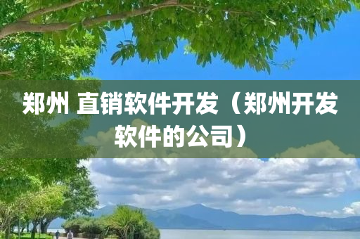 郑州 直销软件开发（郑州开发软件的公司）