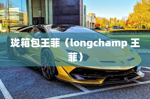 珑箱包王菲（longchamp 王菲）