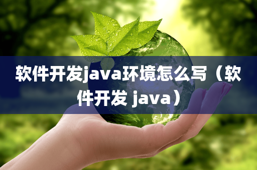 软件开发java环境怎么写（软件开发 java）