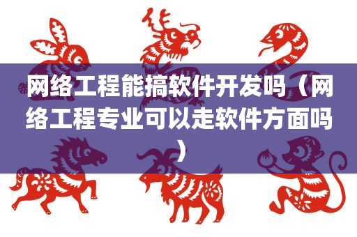 网络工程能搞软件开发吗（网络工程专业可以走软件方面吗）