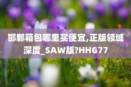 邯郸箱包哪里买便宜,正版领域深度_SAW版?HHG77