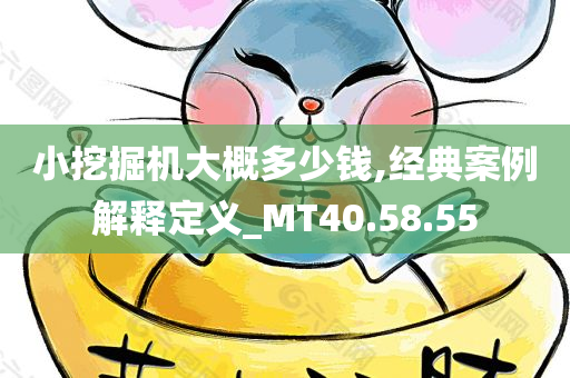 小挖掘机大概多少钱,经典案例解释定义_MT40.58.55