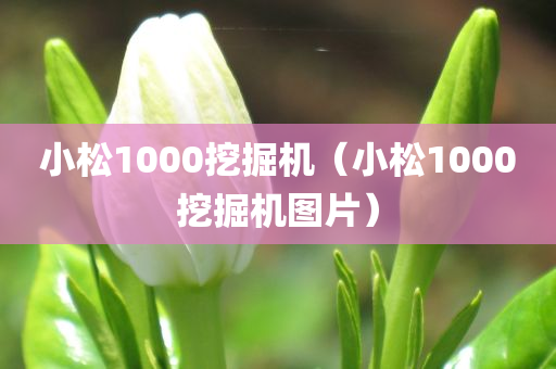 小松1000挖掘机（小松1000挖掘机图片）