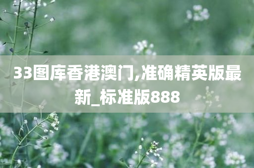 33图库香港澳门,准确精英版最新_标准版888