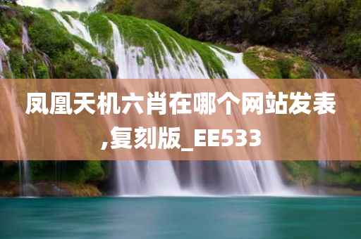 凤凰天机六肖在哪个网站发表,复刻版_EE533