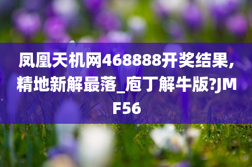 凤凰天机网468888开奖结果,精地新解最落_庖丁解牛版?JMF56