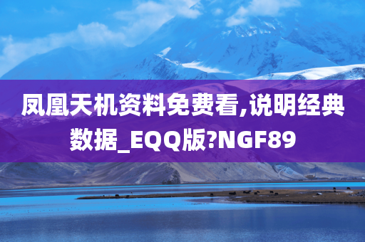 凤凰天机资料免费看,说明经典数据_EQQ版?NGF89