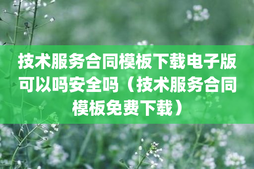 技术服务合同模板下载电子版可以吗安全吗（技术服务合同模板免费下载）