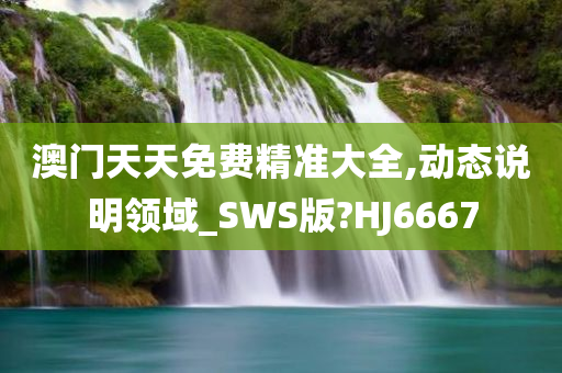 澳门天天免费精准大全,动态说明领域_SWS版?HJ6667