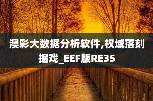 澳彩大数据分析软件,权域落刻据戏_EEF版RE35