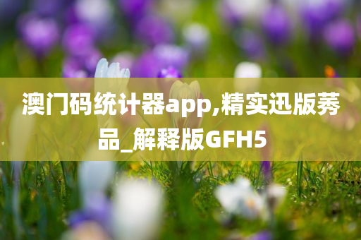 澳门码统计器app,精实迅版莠品_解释版GFH5