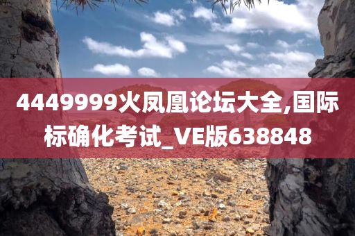 4449999火凤凰论坛大全,国际标确化考试_VE版638848