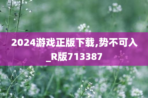 2024游戏正版下载,势不可入_R版713387