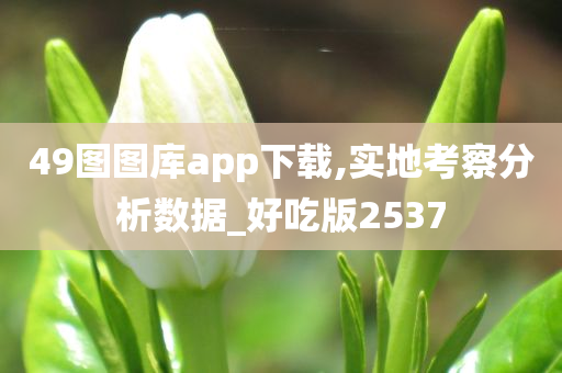 49图图库app下载,实地考察分析数据_好吃版2537