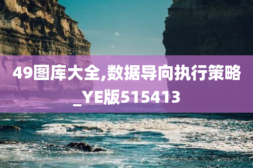 49图库大全,数据导向执行策略_YE版515413