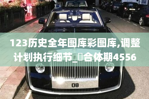 123历史全年图库彩图库,调整计划执行细节_‌合体期4556