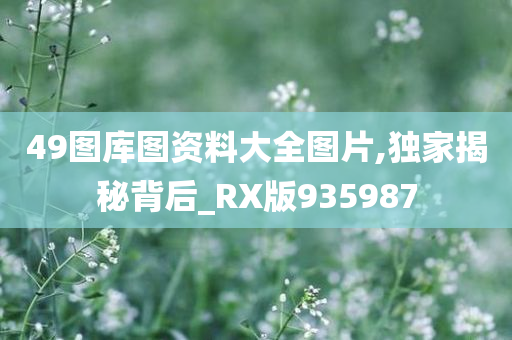 49图库图资料大全图片,独家揭秘背后_RX版935987