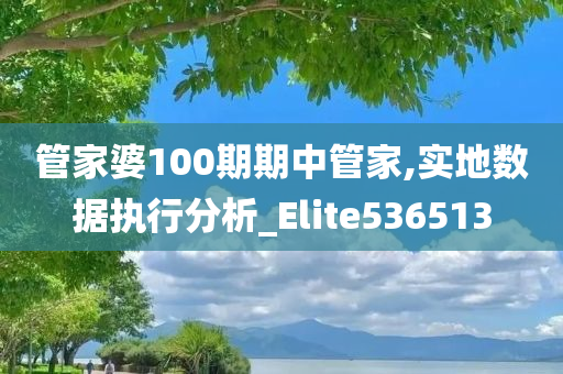 管家婆100期期中管家,实地数据执行分析_Elite536513