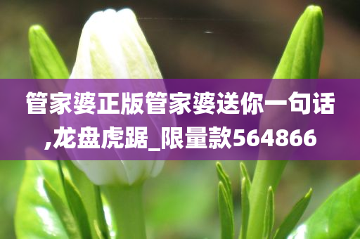 管家婆正版管家婆送你一句话,龙盘虎踞_限量款564866