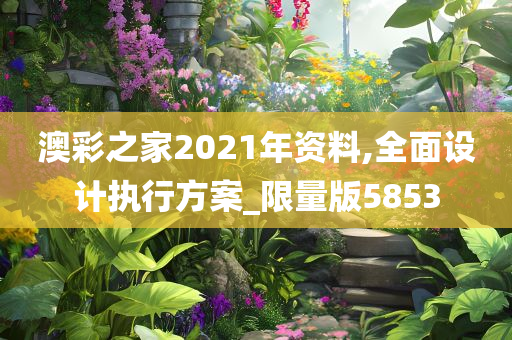 澳彩之家2021年资料,全面设计执行方案_限量版5853