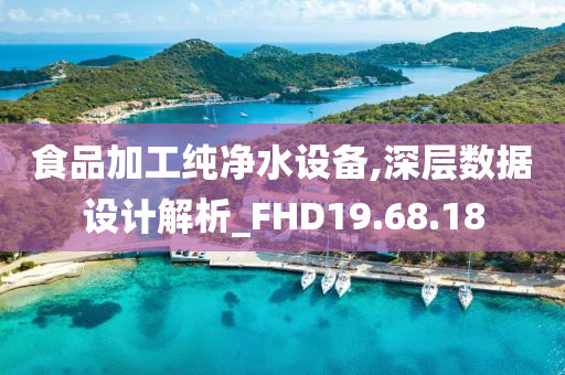 食品加工纯净水设备,深层数据设计解析_FHD19.68.18