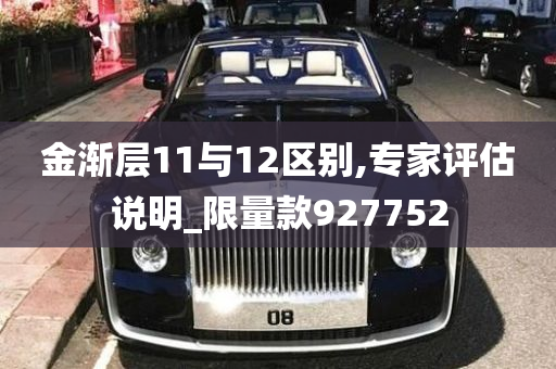 金渐层11与12区别,专家评估说明_限量款927752