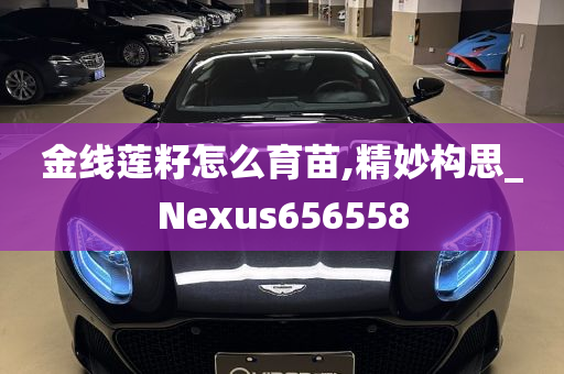 金线莲籽怎么育苗,精妙构思_Nexus656558