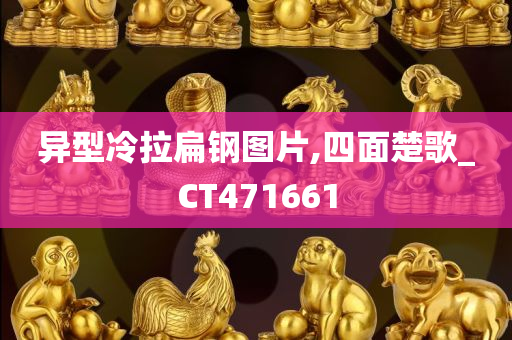 异型冷拉扁钢图片,四面楚歌_CT471661