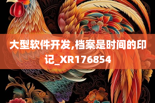 大型软件开发,档案是时间的印记_XR176854