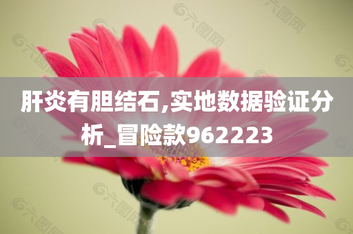 肝炎有胆结石,实地数据验证分析_冒险款962223