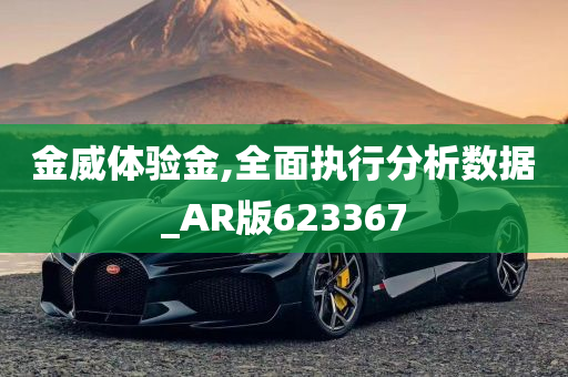 金威体验金,全面执行分析数据_AR版623367