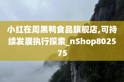 小红在周黑鸭食品旗舰店,可持续发展执行探索_nShop802575