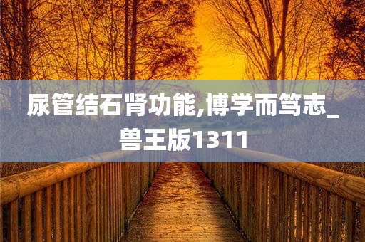 尿管结石肾功能,博学而笃志_兽王版1311